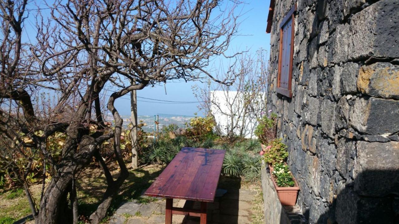 El Pajar De Ines Guest House La Orotava Exterior photo