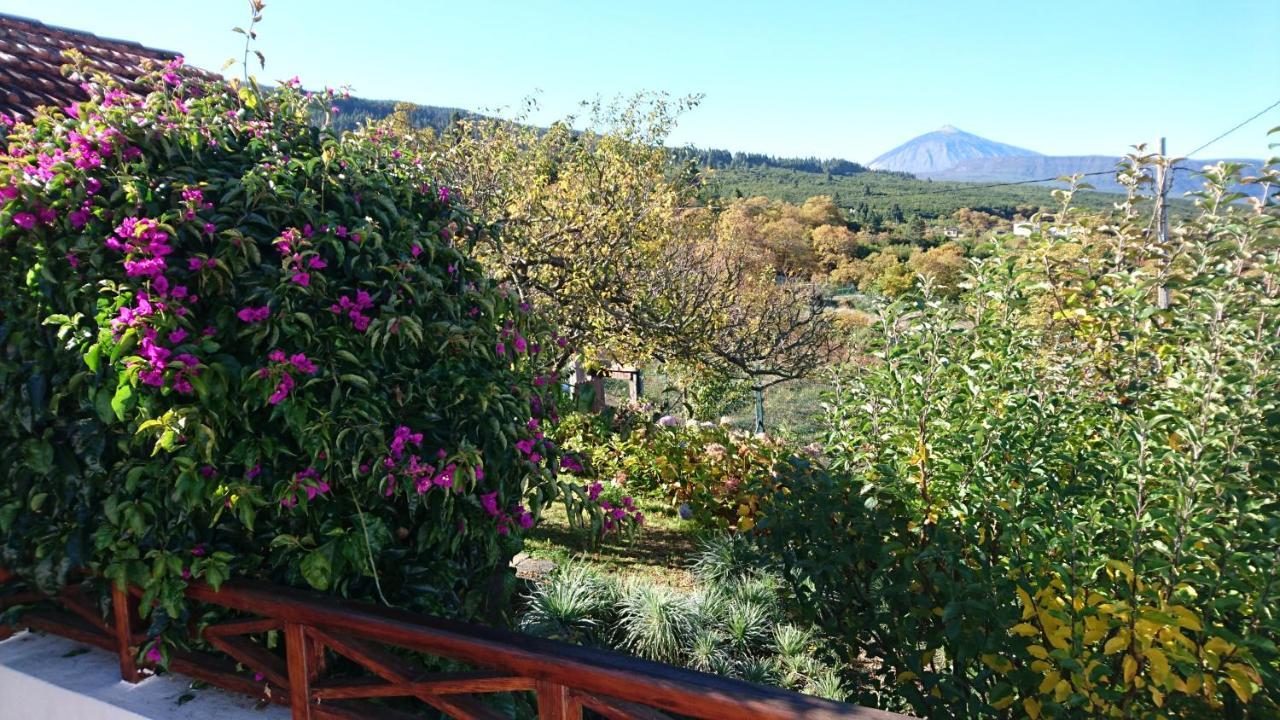 El Pajar De Ines Guest House La Orotava Exterior photo